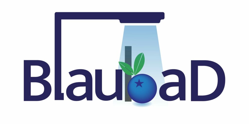 Logo BlaubaD