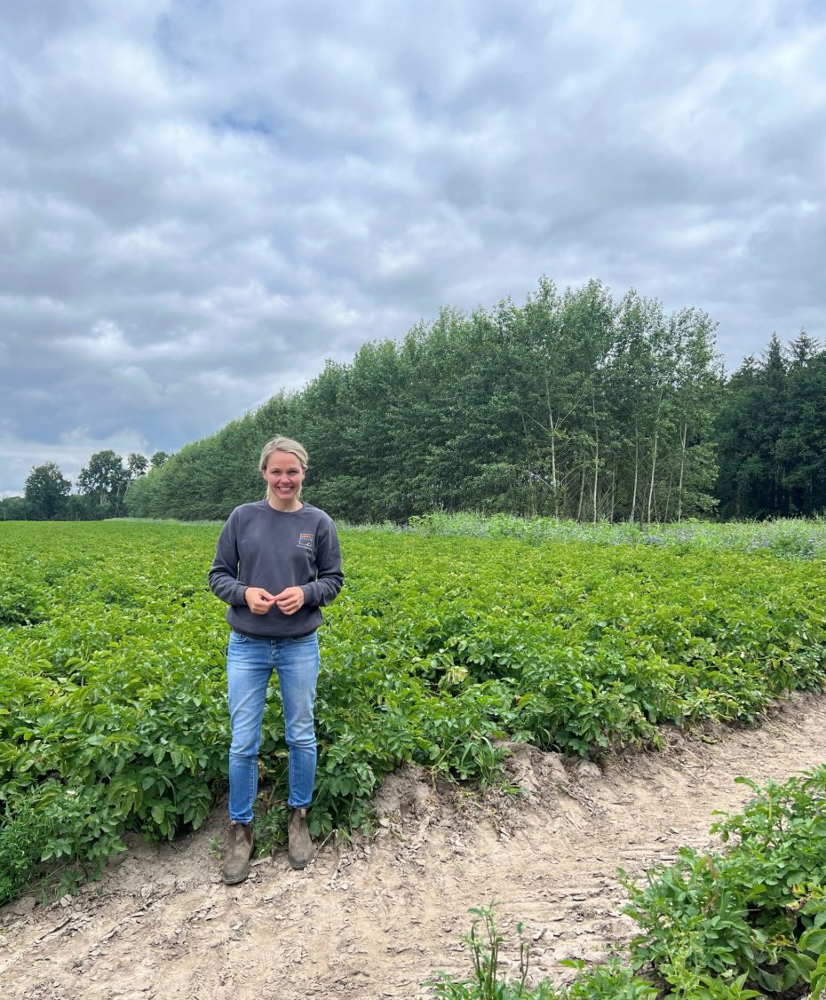 Gesa vor dem Agroforstystem