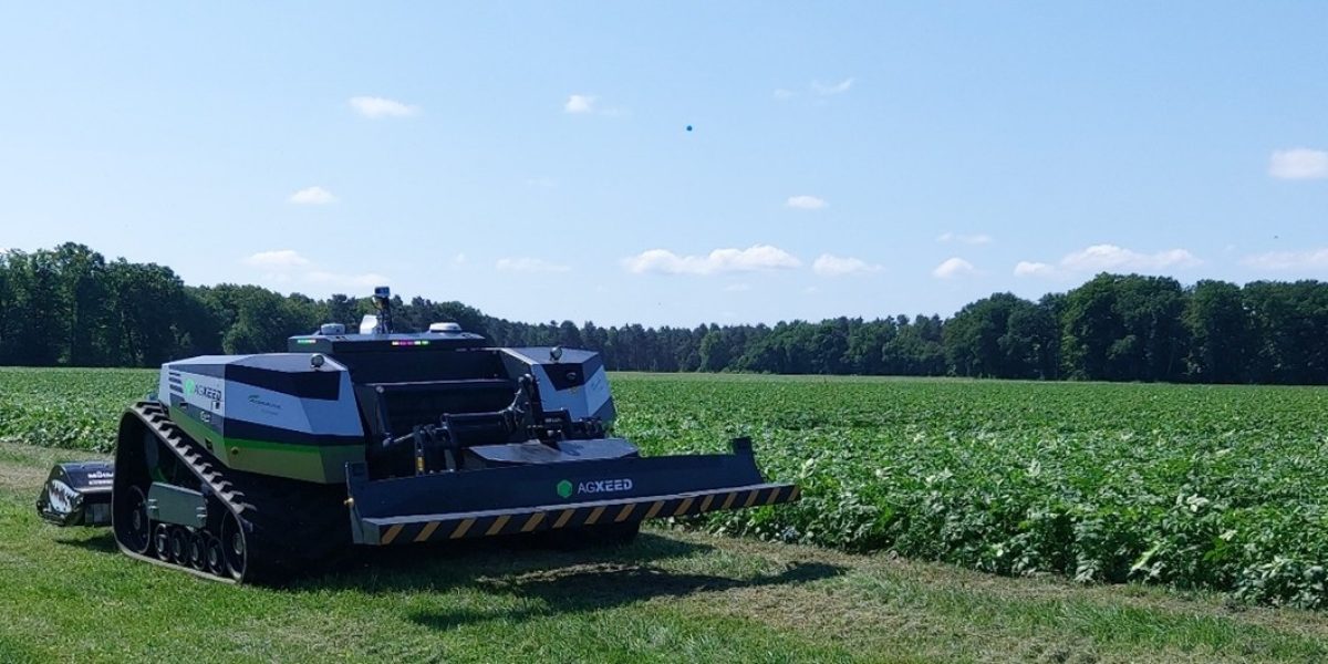 Bild1